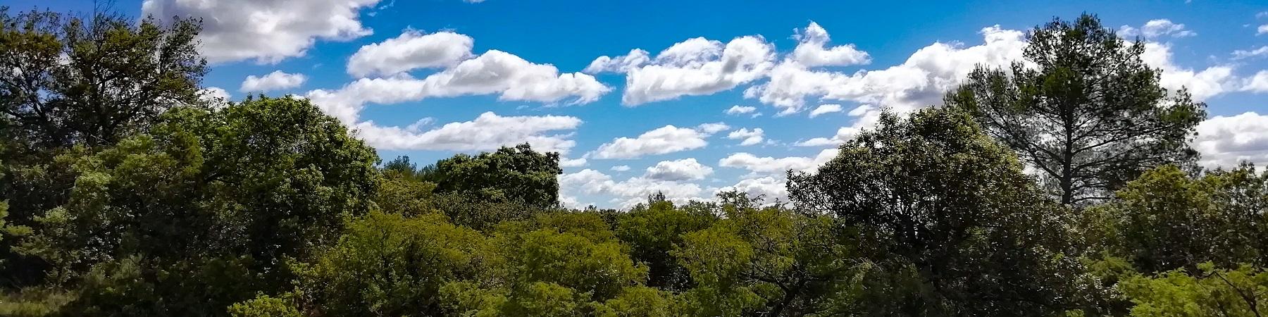 La garrigue... en un clic !