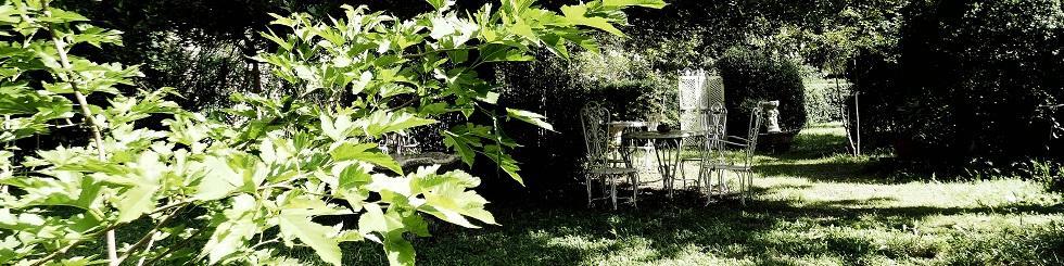 Emotions sans moderation balade dans le jardin