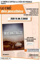 Irreductibles