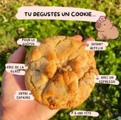 Madame cookie tu degustes un cookie copia