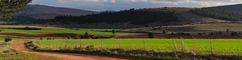 Sur le chemin de stevenson panorama 1