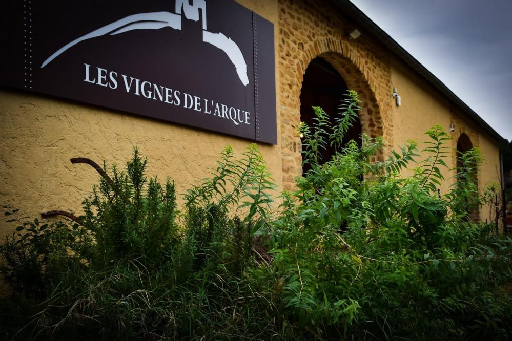 Vignes de l arque sylvie duplan