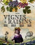 Vignes et raisins plume de carotte